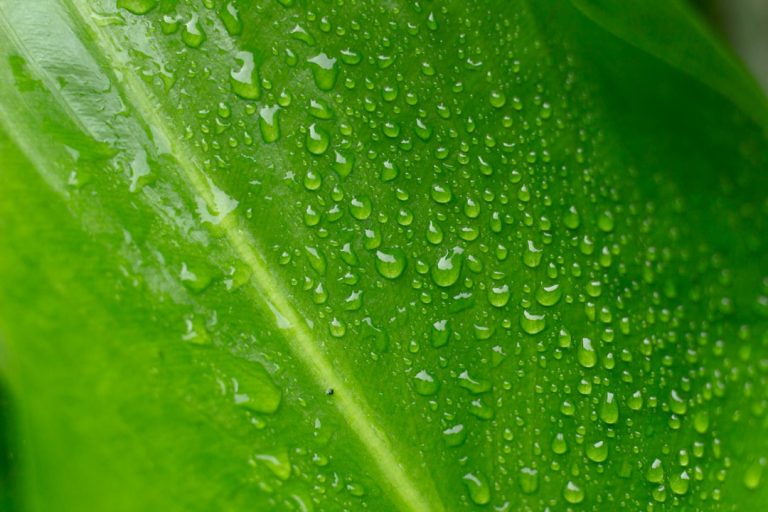 My Deep Dive: Understanding “greenwashing” in Product Marketing.