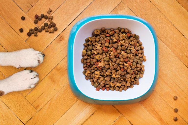 My Guide to Sustainable Pet Food Brands (nutritious & Responsible).