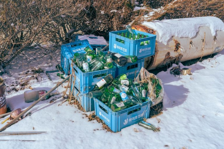 5 Common Recycling Mistakes You Might Be Making (and How to Fix Them).