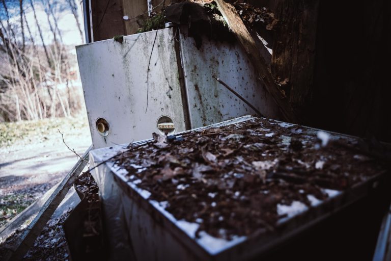 My Guide to Composting Food Scraps in a Small Apartment.