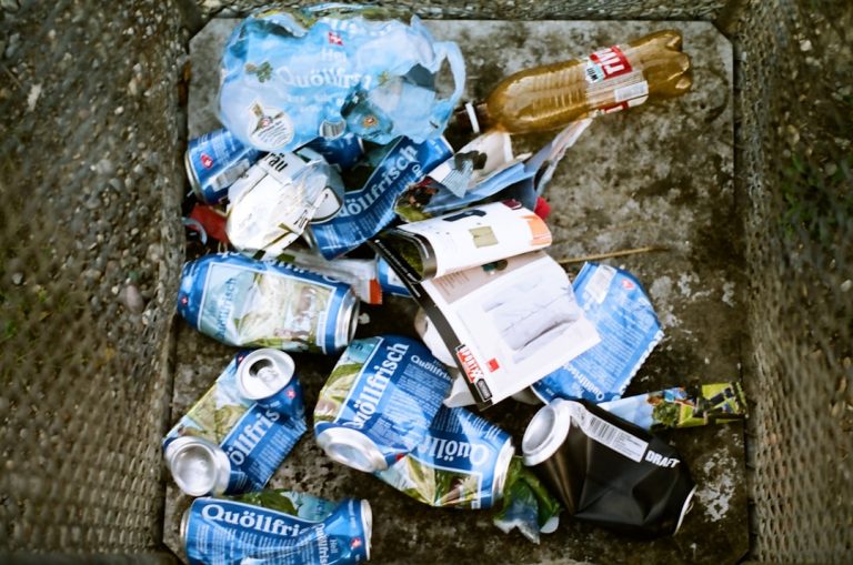 The Impact of Biodegradable Packaging on Consumer Choices (my Insights).